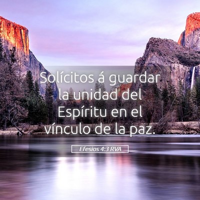 Picture 05 - Efesios 4:3 RVA - Solícitos á guardar la unidad del Espíritu en - Bible Verse Picture
