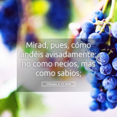Picture 05 - Efesios 5:15 RVA - Mirad, pues, cómo andéis avisadamente; no como - Bible Verse Picture