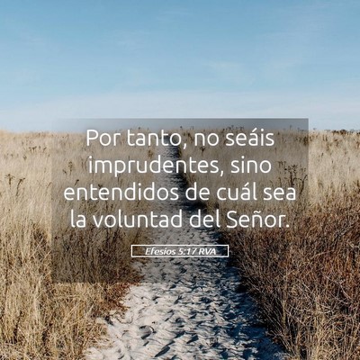 Picture 05 - Efesios 5:17 RVA - Por tanto, no seáis imprudentes, sino entendidos - Bible Verse Picture