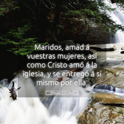 Picture 05 - Efesios 5:25 RVA - Maridos, amad á vuestras mujeres, así como - Bible Verse Picture
