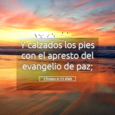 Picture 05 - Efesios 6:15 RVA - Y calzados los pies con el apresto del evangelio - Bible Verse Picture