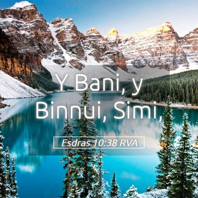 Picture 05 - Esdras 10:38 RVA - Y Bani, y Binnui, - Bible Verse Picture