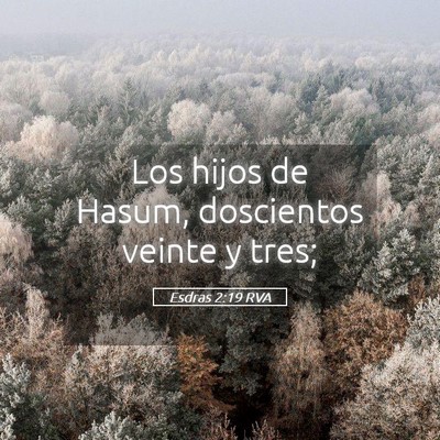 Picture 05 - Esdras 2:19 RVA - Los hijos de Hasum, doscientos veinte y - Bible Verse Picture