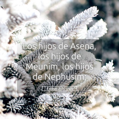 Picture 05 - Esdras 2:50 RVA - Los hijos de Asena, los hijos de Meunim, los - Bible Verse Picture