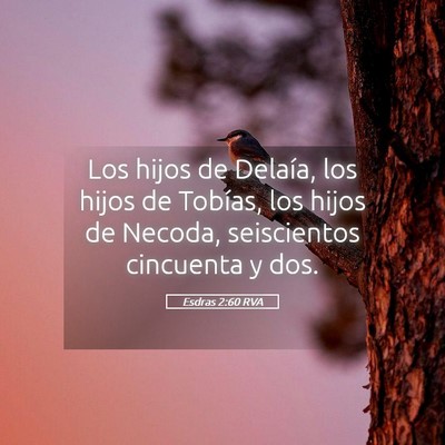 Picture 05 - Esdras 2:60 RVA - Los hijos de Delaía, los hijos de Tobías, los - Bible Verse Picture