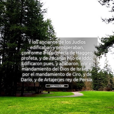 Picture 05 - Esdras 6:14 RVA - Y los ancianos de los Judíos edificaban y - Bible Verse Picture