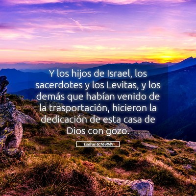 Picture 05 - Esdras 6:16 RVA - Y los hijos de Israel, los sacerdotes y los - Bible Verse Picture