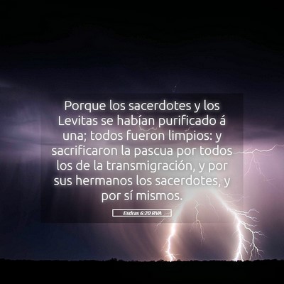 Picture 05 - Esdras 6:20 RVA - Porque los sacerdotes y los Levitas se habían - Bible Verse Picture