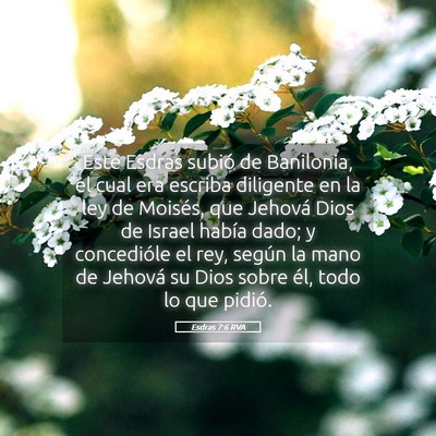 Picture 05 - Esdras 7:6 RVA - Este Esdras subió de Banilonia, el cual era - Bible Verse Picture