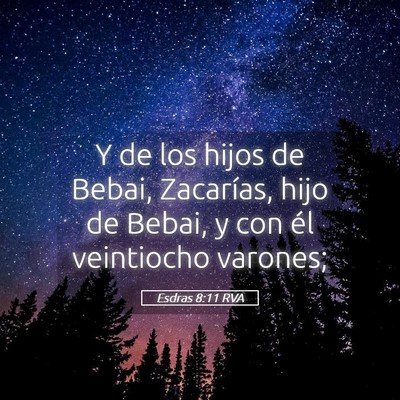 Picture 05 - Esdras 8:11 RVA - Y de los hijos de Bebai, Zacarías, hijo de - Bible Verse Picture