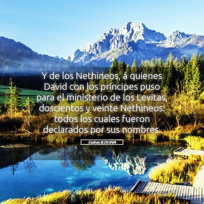 Picture 05 - Esdras 8:20 RVA - Y de los Nethineos, á quienes David con los - Bible Verse Picture