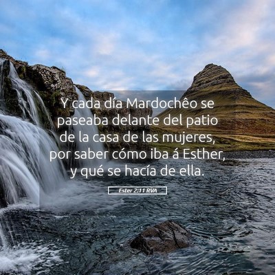 Picture 05 - Ester 2:11 RVA - Y cada día Mardochêo se paseaba delante del - Bible Verse Picture