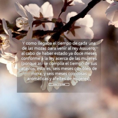 Picture 05 - Ester 2:12 RVA - Y como llegaba el tiempo de cada una de las mozas - Bible Verse Picture
