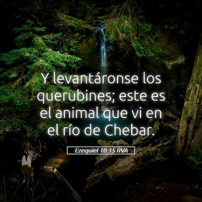 Picture 05 - Ezequiel 10:15 RVA - Y levantáronse los querubines; este es el animal - Bible Verse Picture