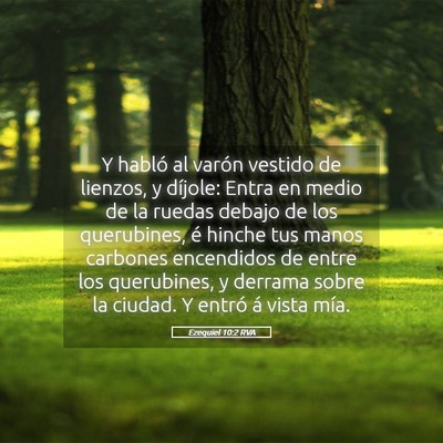 Picture 05 - Ezequiel 10:2 RVA - Y habló al varón vestido de lienzos, y díjole: - Bible Verse Picture