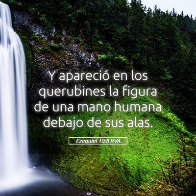 Picture 05 - Ezequiel 10:8 RVA - Y apareció en los querubines la figura de una - Bible Verse Picture