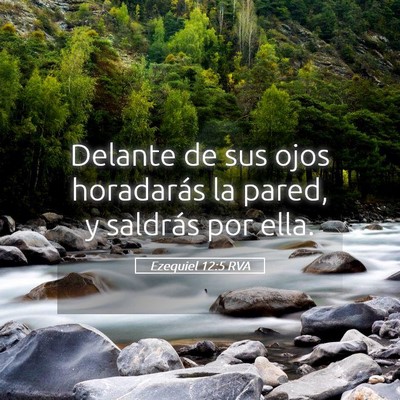 Picture 05 - Ezequiel 12:5 RVA - Delante de sus ojos horadarás la pared, y - Bible Verse Picture
