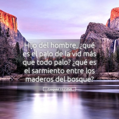 Picture 05 - Ezequiel 15:2 RVA - Hijo del hombre, ¿qué es el palo de la vid más - Bible Verse Picture