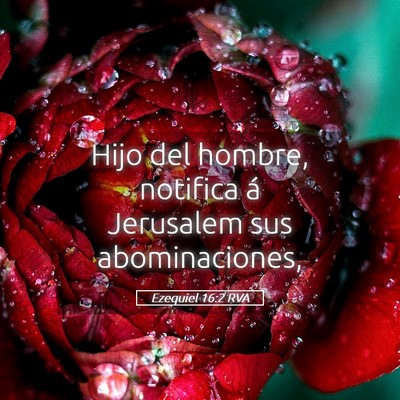 Picture 05 - Ezequiel 16:2 RVA - Hijo del hombre, notifica á Jerusalem sus - Bible Verse Picture