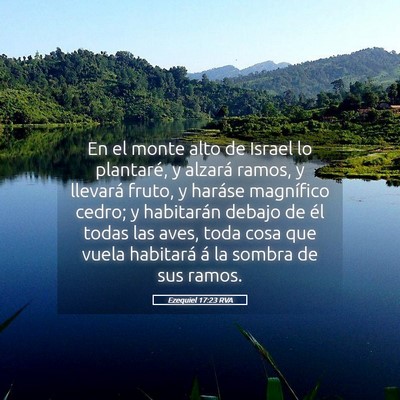 Picture 05 - Ezequiel 17:23 RVA - En el monte alto de Israel lo plantaré, y - Bible Verse Picture