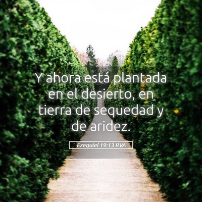 Picture 05 - Ezequiel 19:13 RVA - Y ahora está plantada en el desierto, en tierra - Bible Verse Picture