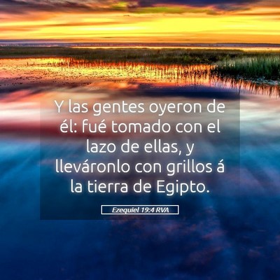 Picture 05 - Ezequiel 19:4 RVA - Y las gentes oyeron de él: fué tomado con el - Bible Verse Picture