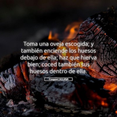 Picture 05 - Ezequiel 24:5 RVA - Toma una oveja escogida; y también enciende los - Bible Verse Picture