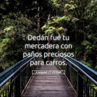 Picture 05 - Ezequiel 27:20 RVA - Dedán fué tu mercadera con paños preciosos - Bible Verse Picture