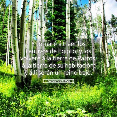 Picture 05 - Ezequiel 29:14 RVA - Y tornaré á traer los cautivos de Egipto, y los - Bible Verse Picture