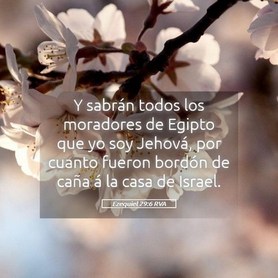 Picture 05 - Ezequiel 29:6 RVA - Y sabrán todos los moradores de Egipto que yo - Bible Verse Picture