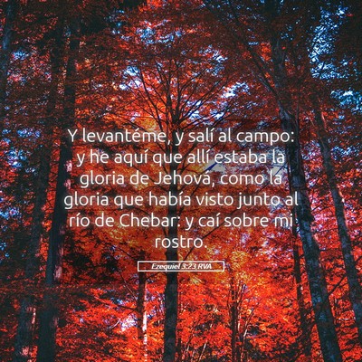 Picture 05 - Ezequiel 3:23 RVA - Y levantéme, y salí al campo: y he aquí que - Bible Verse Picture
