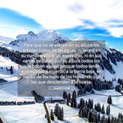 Picture 05 - Ezequiel 31:14 RVA - Para que no se eleven en su altura los árboles - Bible Verse Picture