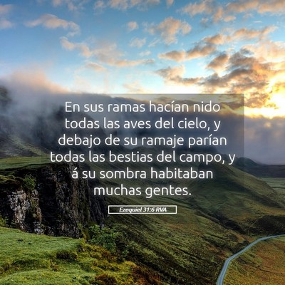 Picture 05 - Ezequiel 31:6 RVA - En sus ramas hacían nido todas las aves del - Bible Verse Picture