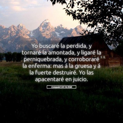 Picture 05 - Ezequiel 34:16 RVA - Yo buscaré la perdida, y tornaré la amontada, y - Bible Verse Picture