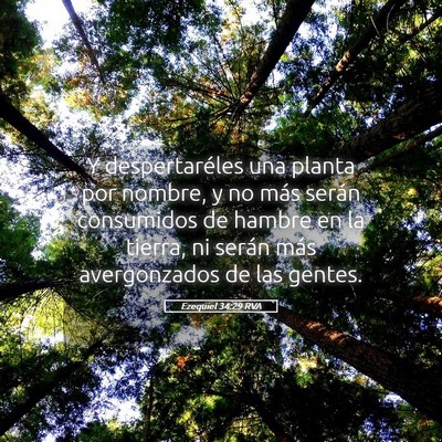 Picture 05 - Ezequiel 34:29 RVA - Y despertaréles una planta por nombre, y no más - Bible Verse Picture