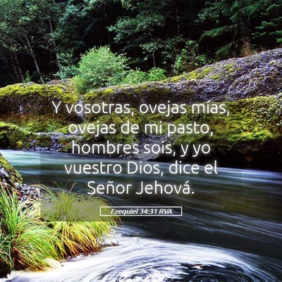 Picture 05 - Ezequiel 34:31 RVA - Y vosotras, ovejas mías, ovejas de mi pasto, - Bible Verse Picture