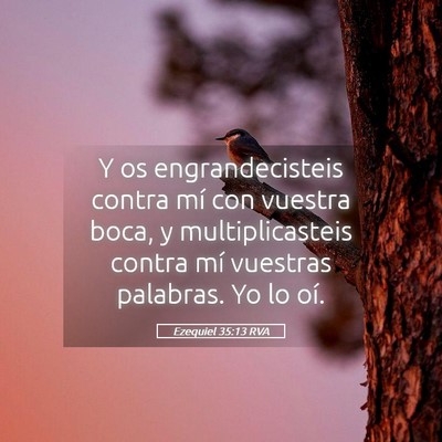 Picture 05 - Ezequiel 35:13 RVA - Y os engrandecisteis contra mí con vuestra boca, - Bible Verse Picture
