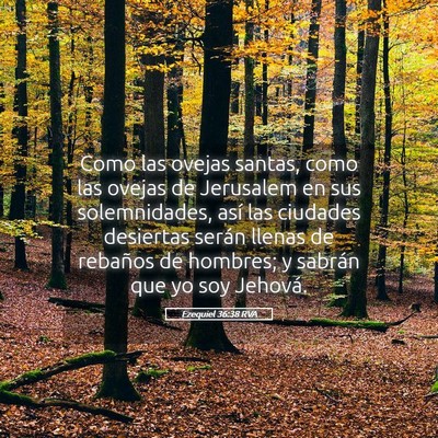 Picture 05 - Ezequiel 36:38 RVA - Como las ovejas santas, como las ovejas de - Bible Verse Picture