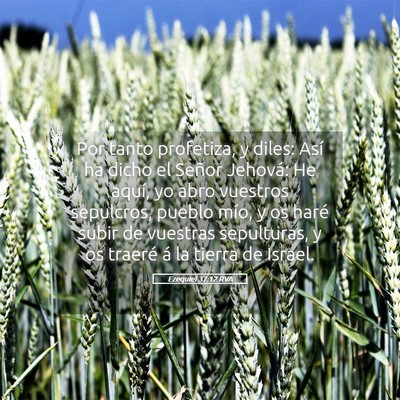 Picture 05 - Ezequiel 37:12 RVA - Por tanto profetiza, y diles: Así ha dicho el - Bible Verse Picture