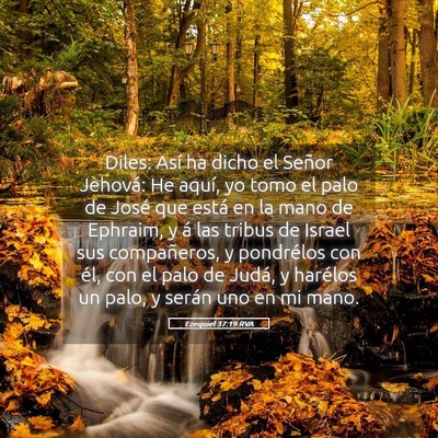 Picture 05 - Ezequiel 37:19 RVA - Diles: Así ha dicho el Señor Jehová: He aquí, - Bible Verse Picture