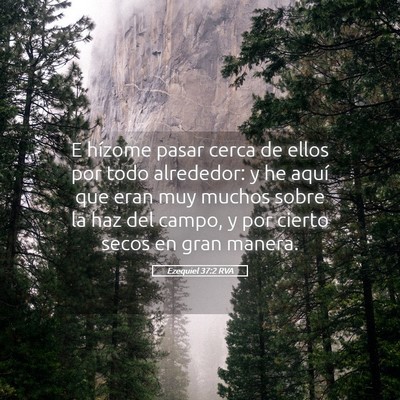 Picture 05 - Ezequiel 37:2 RVA - E hízome pasar cerca de ellos por todo - Bible Verse Picture