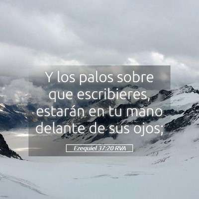 Picture 05 - Ezequiel 37:20 RVA - Y los palos sobre que escribieres, estarán en tu - Bible Verse Picture