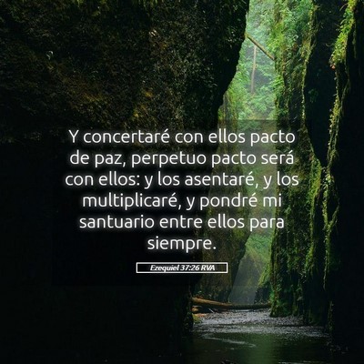 Picture 05 - Ezequiel 37:26 RVA - Y concertaré con ellos pacto de paz, perpetuo - Bible Verse Picture