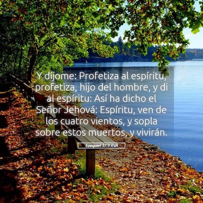 Picture 05 - Ezequiel 37:9 RVA - Y díjome: Profetiza al espíritu, profetiza, - Bible Verse Picture