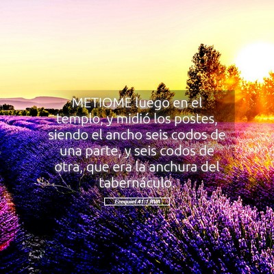 Picture 05 - Ezequiel 41:1 RVA - METIOME luego en el templo, y midió los postes, - Bible Verse Picture