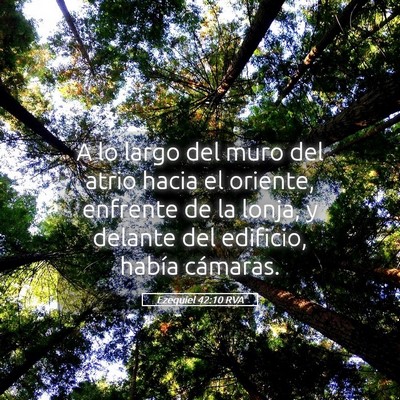 Picture 05 - Ezequiel 42:10 RVA - A lo largo del muro del atrio hacia el oriente, - Bible Verse Picture