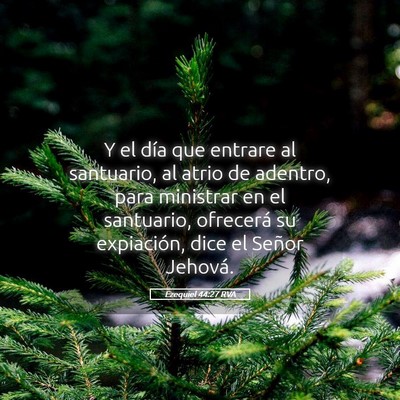 Picture 05 - Ezequiel 44:27 RVA - Y el día que entrare al santuario, al atrio de - Bible Verse Picture