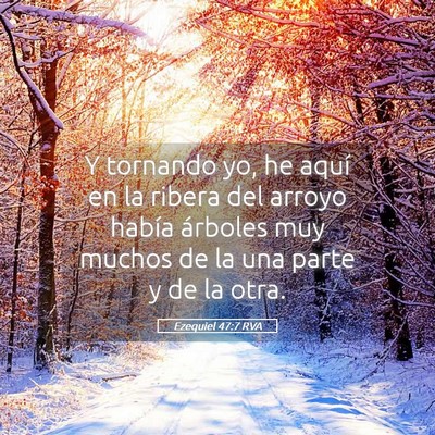 Picture 05 - Ezequiel 47:7 RVA - Y tornando yo, he aquí en la ribera del arroyo - Bible Verse Picture