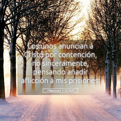 Picture 05 - Filipenses 1:16 RVA - Los unos anuncian á Cristo por contención, no - Bible Verse Picture