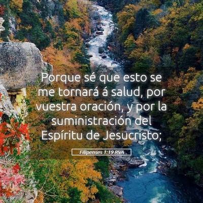 Picture 05 - Filipenses 1:19 RVA - Porque sé que esto se me tornará á salud, por - Bible Verse Picture